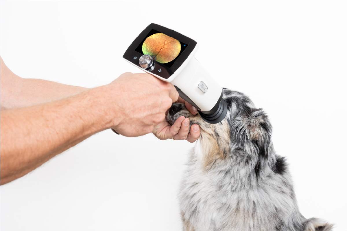 Aurora IQ for vet